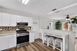 521 Michigan St, Mount Dora, FL 32757 - Photo 8