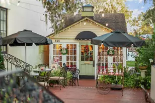 30106 Cheval St, Mount Dora, FL 32757 - Photo 36