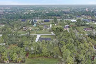 19436 Seaview St, Orlando, FL 32833 - Photo 42