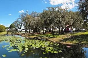 14439 Bluebird Park Rd, Windermere, FL 34786 - Photo 40