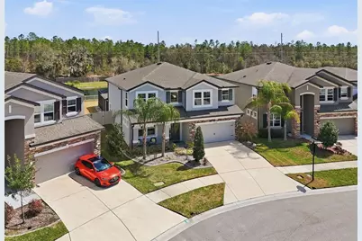 16146 Monterey Greens Circle, Tampa, FL 33647 - Photo 2