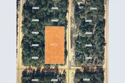 00 Selma Ave, Interlachen, FL 32148 - Photo 1
