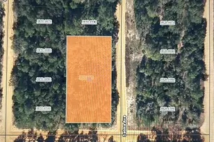 00 Selma Ave, Interlachen, FL 32148 - Photo 1