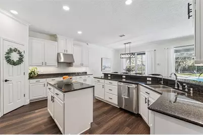 10033 Wittenberg Way, Orlando, FL 32832 - Photo 16