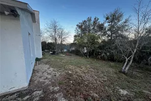 6409 Royal Tern St, Orlando, FL 32810 - Photo 2