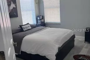 5519 Turtle Crossing Loop, Tampa, FL 33625 - Photo 8