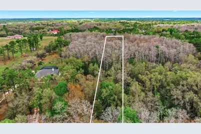 Quinlan Street, Orlando, FL 32833 - Photo 20