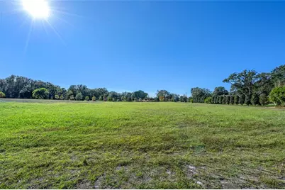 10948 Down Park Lane, Windermere, FL 34786 - Photo 24