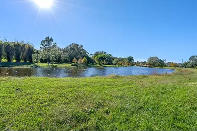 10948 Down Park Lane, Windermere, FL 34786 - Photo 28