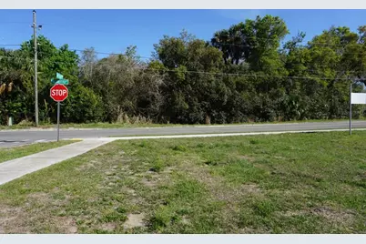Palmetto Street, Eustis, FL 32726 - Photo 2