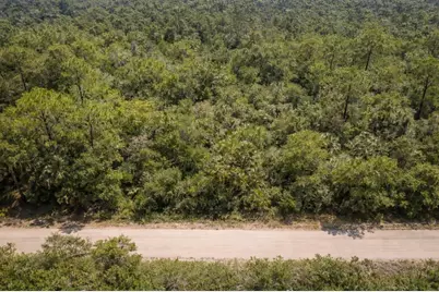 823 Durmon Avenue, Lake Placid, FL 33852 - Photo 1