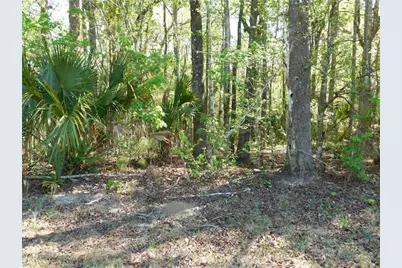 10505 E Deep Creek Boulevard, Hastings, FL 32145 - Photo 26