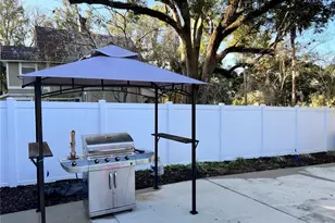 810 N Tremain St, Mount Dora, FL 32757 - Photo 26