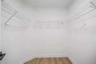 808 White Ivey Ct, Apopka, FL 32712 - Photo 18