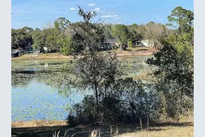 31725 Spruce Drive, Eustis, FL 32736 - Photo 22