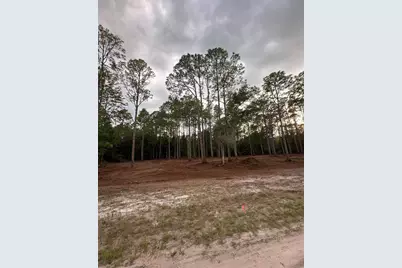 127 Longtree Street, Georgetown, FL 32139 - Photo 2
