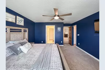 6312 Milestone Loop, Palmetto, FL 34221 - Photo 12