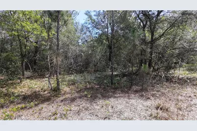 Los Robles Drive, Groveland, FL 34736 - Photo 6