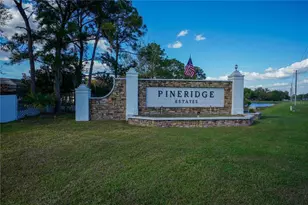 3240 Pineridge Cir, Kissimmee, FL 34746 - Photo 32