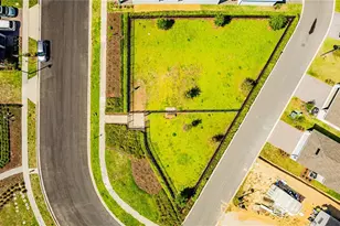 15197 Blue Peacock Ln, Winter Garden, FL 34787 - Photo 52