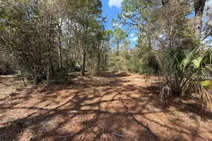 980 N Conant Ave, Crystal River, FL 34429 - Photo 2