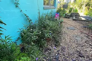 5706 17th Ave S, Gulfport, FL 33707 - Photo 4