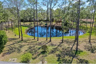 9056 Woodbreeze Boulevard, Windermere, FL 34786 - Photo 22