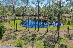 9056 Woodbreeze Blvd, Windermere, FL 34786 - Photo 22
