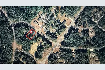 Guava Pass, Ocklawaha, FL 32179 - Photo 1