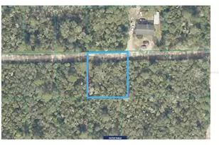 Lot 19 NE 233rd Ln, Fort Mc Coy, FL 32134 - Photo 1