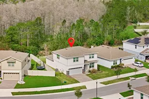 9819 Brown Burrow St, Orlando, FL 32829 - Photo 60