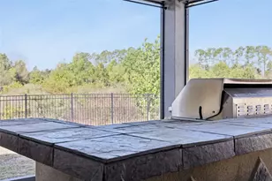 307 Terracotta Terrace, Howey in the Hills, FL 34737 - Photo 34