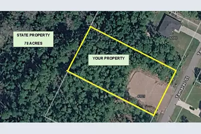 42021 Tamarac Street, Eustis, FL 32736 - Photo 2