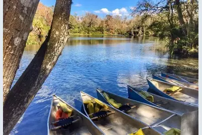 934 Rock Creek Street, Apopka, FL 32712 - Photo 52
