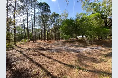 7756 N Shillelagh Avenue, Crystal River, FL 34428 - Photo 1