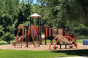 10255 Lake District Ln, Orlando, FL 32832 - Photo 24