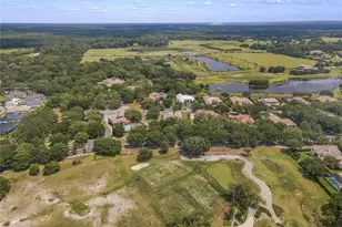 32551 Hawks Lake Ln, Sorrento, FL 32776 - Photo 58