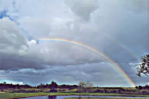 2269 Mullet Lake Park Rd, Geneva, FL 32732 - Photo 70