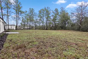 41810 Mango St, Eustis, FL 32736 - Photo 46