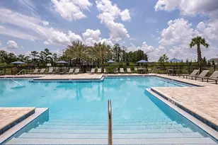 14736 Field Daisy Dr, Winter Garden, FL 34787 - Photo 34