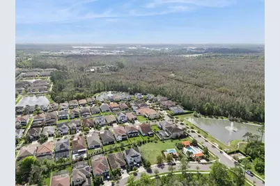 8415 Vivaro Isle Way, Windermere, FL 34786 - Photo 62