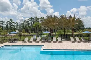 14780 Field Daisy Dr, Winter Garden, FL 34787 - Photo 38