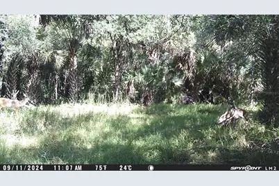 Harrison Road, Mims, FL 32754 - Photo 10