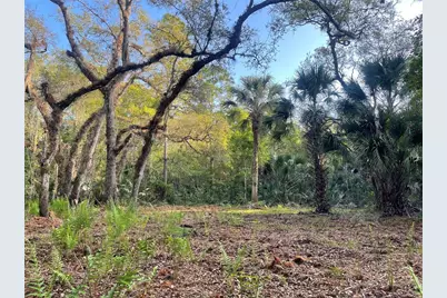 Harrison Road, Mims, FL 32754 - Photo 4