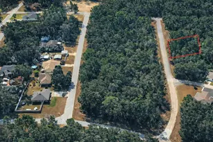 11328 N Cathy Terrace, Dunnellon, FL 34434 - Photo 1