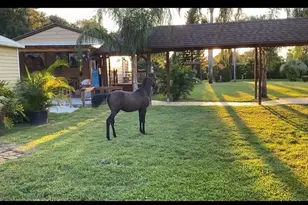 1184 Laura St, Casselberry, FL 32707 - Photo 86