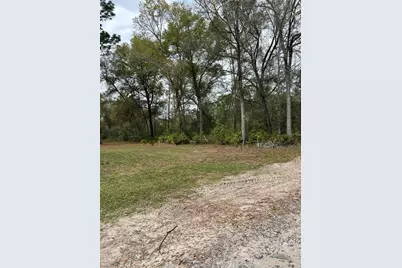 4th Street, Altoona, FL 32702 - Photo 6