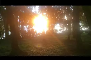 2818 SW 14th Dr, Gainesville, FL 32608 - Photo 10