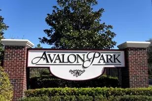 14149 Lake Live Oak Dr, Orlando, FL 32828 - Photo 40