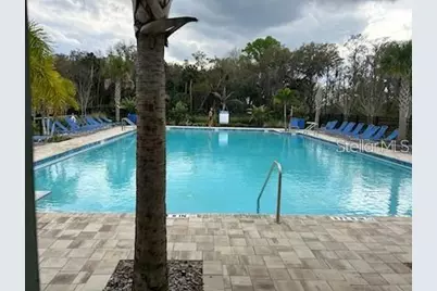 20082 Royal Tern Court, Leesburg, FL 34748 - Photo 16